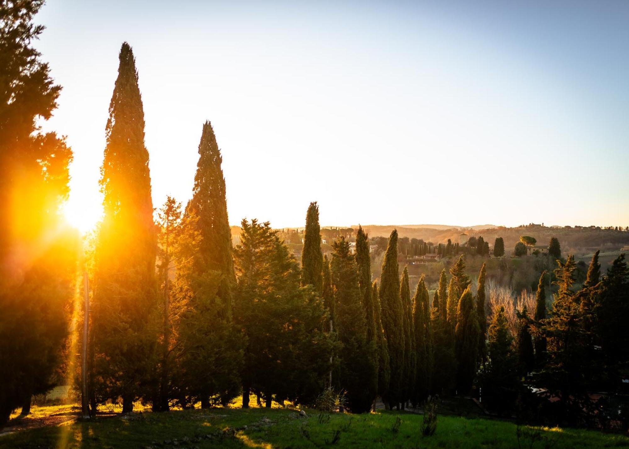 Borgo Il Poggio Agritourismo Villa Montaione Kültér fotó
